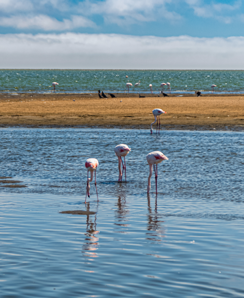 Ria Formosa